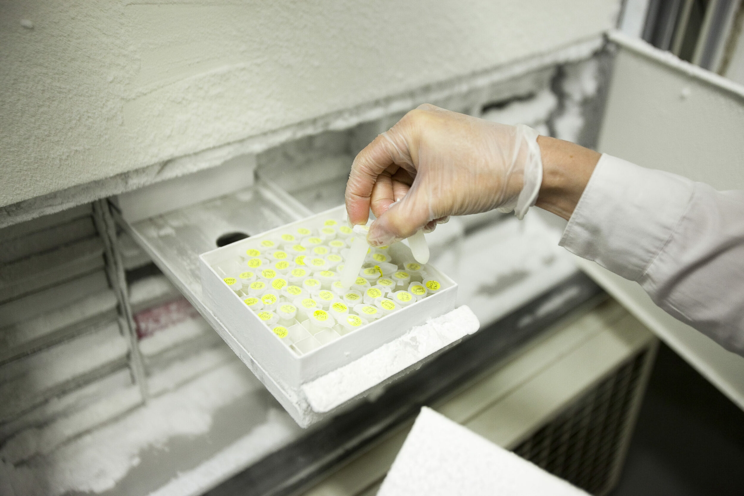 GMP Cell & Virus Storage ViruSure